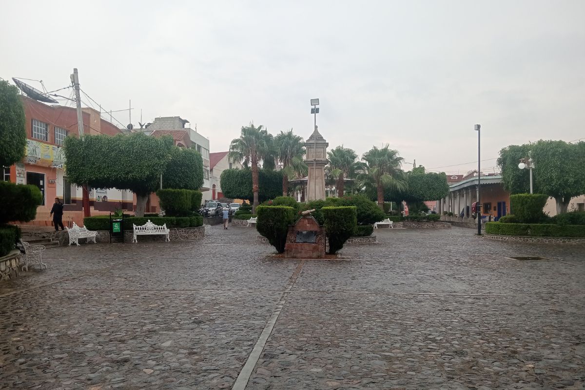 El regidor del PT señaló que se insistió con la transparencia de recursos por parte del ayuntamiento | Foto: Especial