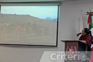 Los alumnos pudieron conocer los retos del cultivo de maguey pulquero, una práctica precolombina que permite el desarrollo sustentable de la especie en convivencia con otras plantaciones