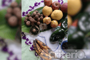 Manzana, pera, durazno y frutos secos se unen a los hongos para crear un relleno que resalta en cada bocado
