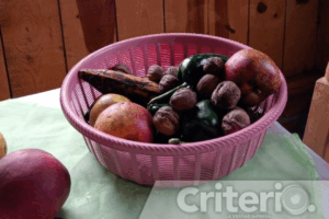 Acaxochitlán se distingue por innovar la cocina tradicional, ahora con esta versión de Chile en Nogada con hongos silvestres