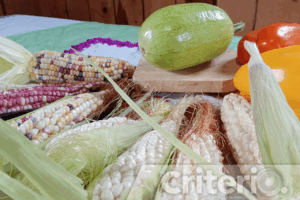 De enero a diciembre, el maíz guía los ciclos agrícolas y espirituales que se celebran con comida y fiestas comunitarias
