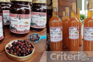 Quesadillas de hongos, caldo de temporada y vinos de cahuiche forman parte de la oferta gastronómica