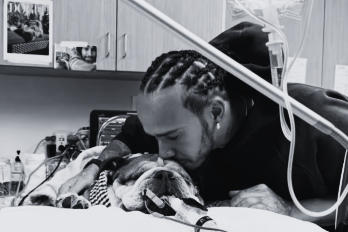 Imagen de Lewis Hamilton con Roscoe al ser internado