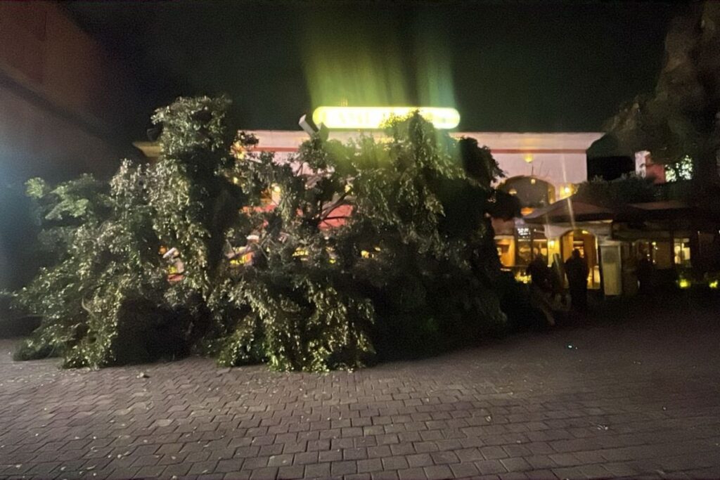 El auto de Arturo Carmona resultó dañado por la caída de un árbol; eso dijo el actor