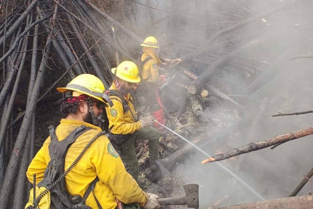 Moisés combatía incendios forestales en los bosques de Hidalgo; ahora lo hace en Canadá