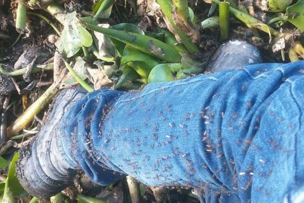 A nueve meses de trabajo y más de 80 millones de pesos invertidos, las cosas siguen iguales en los pueblos limítrofes a la presa Endhó