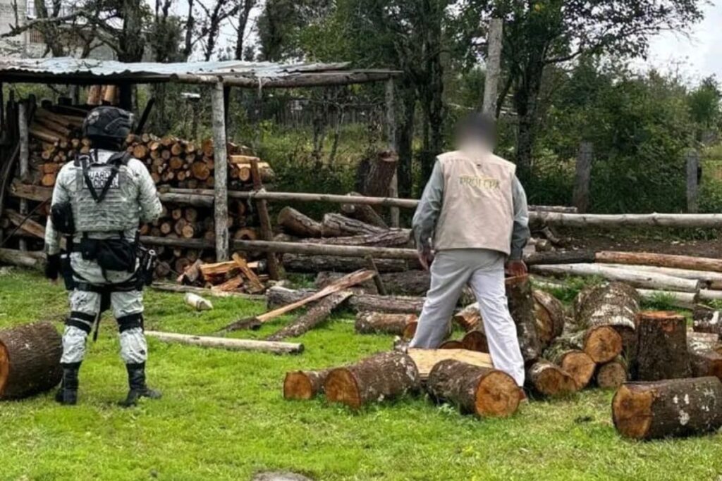 Operativo vs tala de árboles en San Agustín Metzquititlán culmina con cuatro detenidos