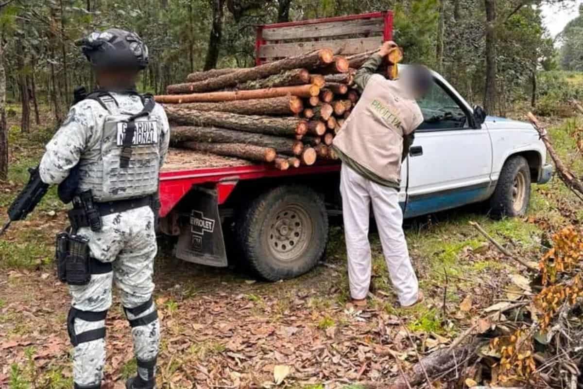 Operativo vs tala de árboles en San Agustín Metzquititlán culmina con cuatro detenidos