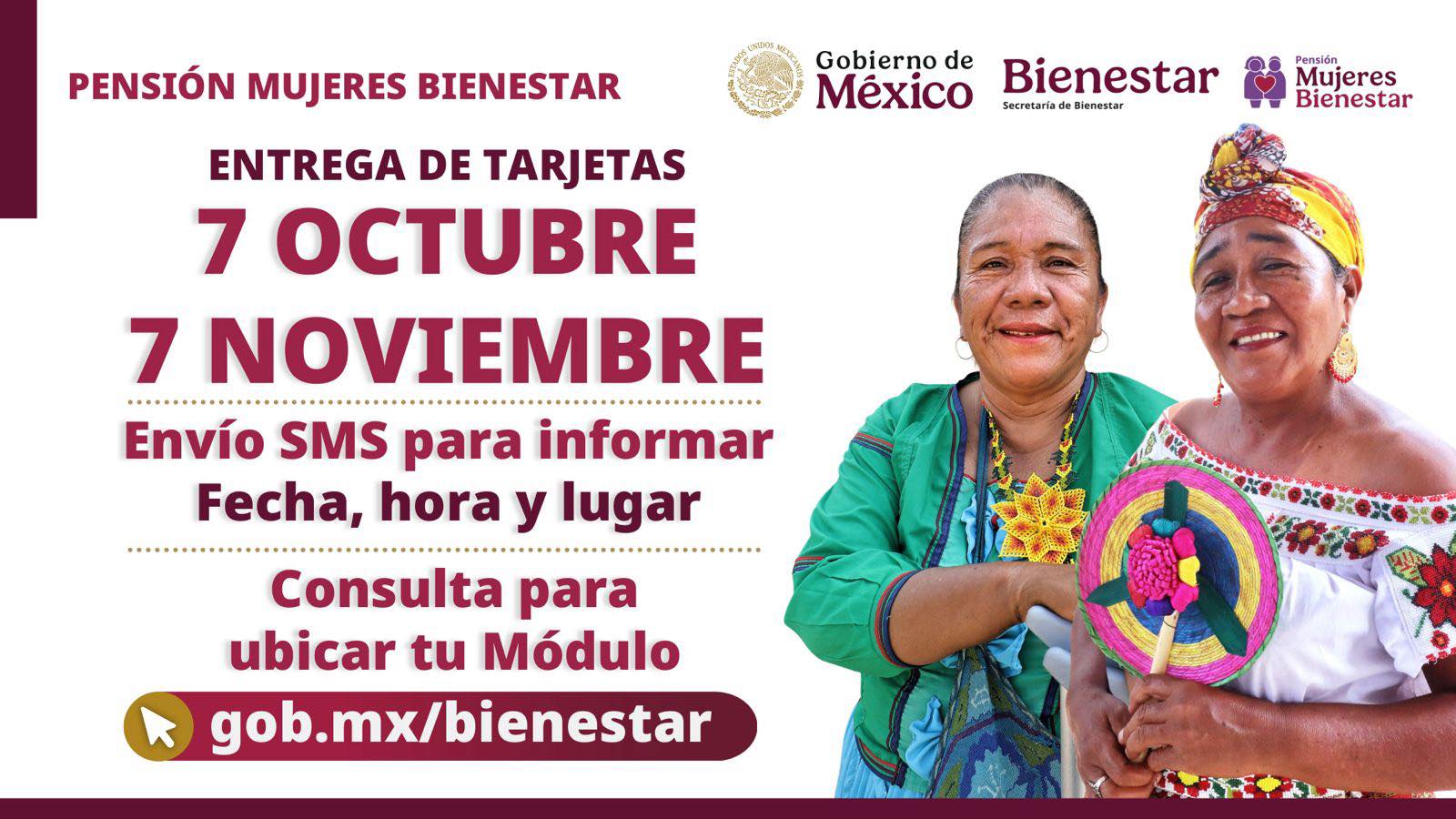 Consulta tu módulo de entrega y los detalles de tu cita en la página oficial de la Secretaría de Bienestar.