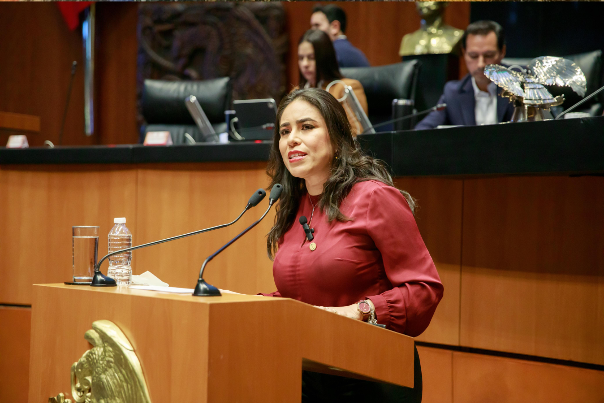 Cuauhtémoc Ochoa, Carolina Viggiano y Sandra Simey Olvera representan a Hidalgo en el Senado de la República.