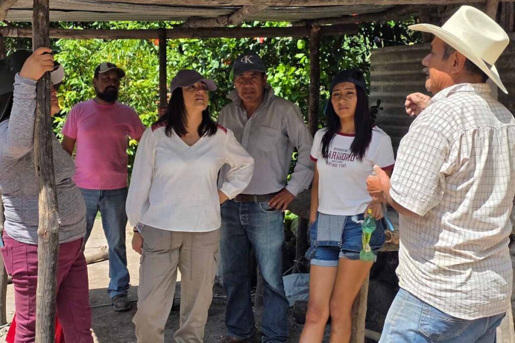 La diputada originaria del Valle del Mezquital, Cynthia Delgado Mendoza, presentará una iniciativa ante el Congreso sobre el tema