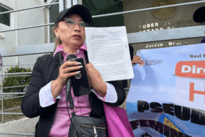 La colectiva denunció que los casos de violencia vicaria son clasificados como violencia familiar, lo que impide su judicialización y retrasa la recuperación de la custodia de los hijos
