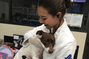 La hidalguense Montserrat Villalva combina su vocación veterinaria con el modelaje, demostrando disciplina, empatía y amor por su tierra / Foto: Redes sociales