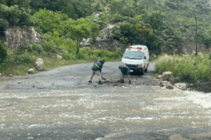En comunidades como El Potrero y Los Lirios, las lluvias generaron hasta cinco deslaves, dejando a decenas de familias aisladas