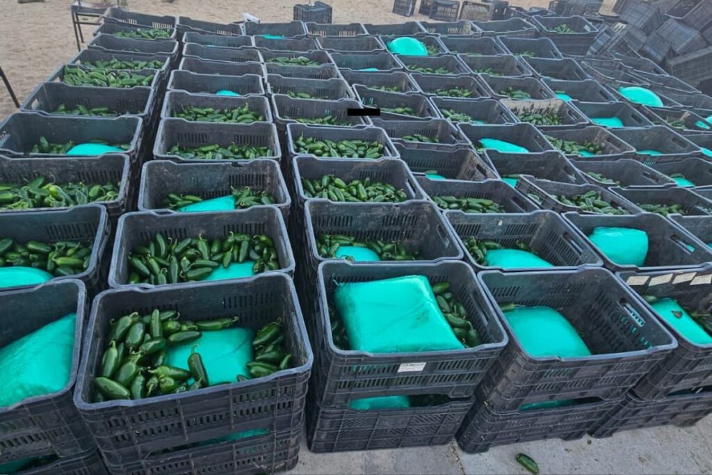 En Sonora, la Sedena y Guardia Nacional realizaron el decomiso de metanfetamina y fentanilo