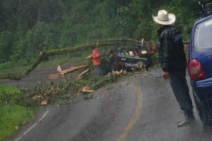 La caída de un árbol bloqueó la carretera Acaxochitlán - Venta Quemada, afectando el tráfico en la zona.
