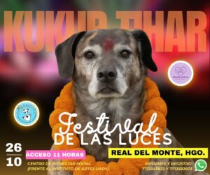 El Kukur Tihar regresa a Real del Monte, Hidalgo, con un mensaje de amor y respeto hacia los animales.