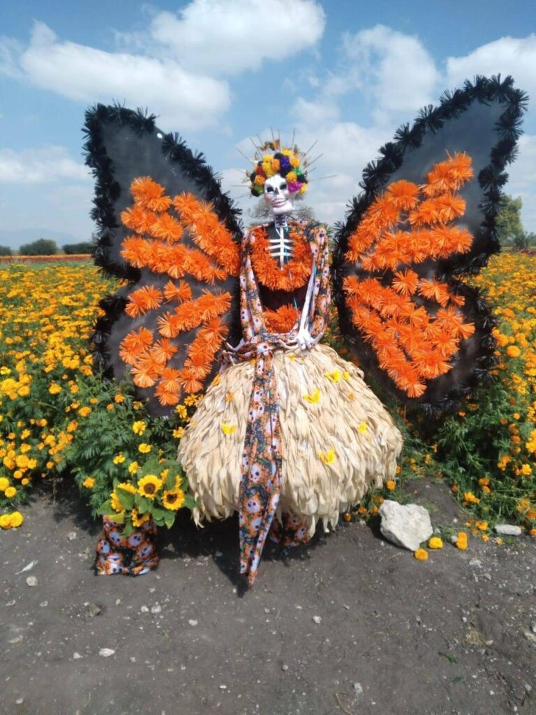 Corredores recorrerán los campos floridos de Doxey durante Corriendo entre las flores