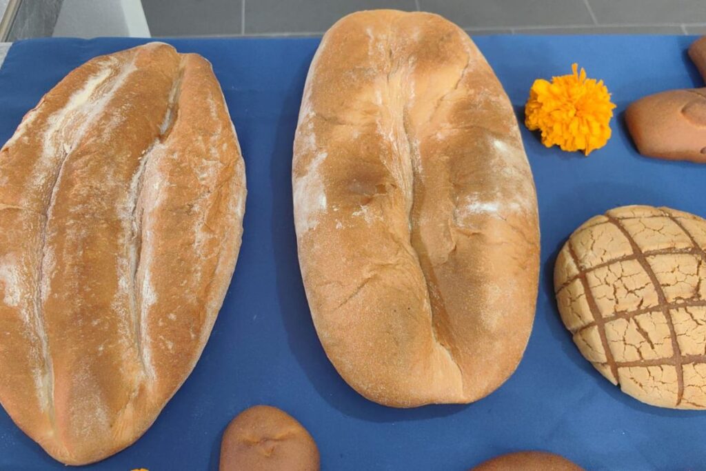 Acaxochitlán y el pan como ofrenda y memoria de los difuntos; ¿conoces sobre su historia?