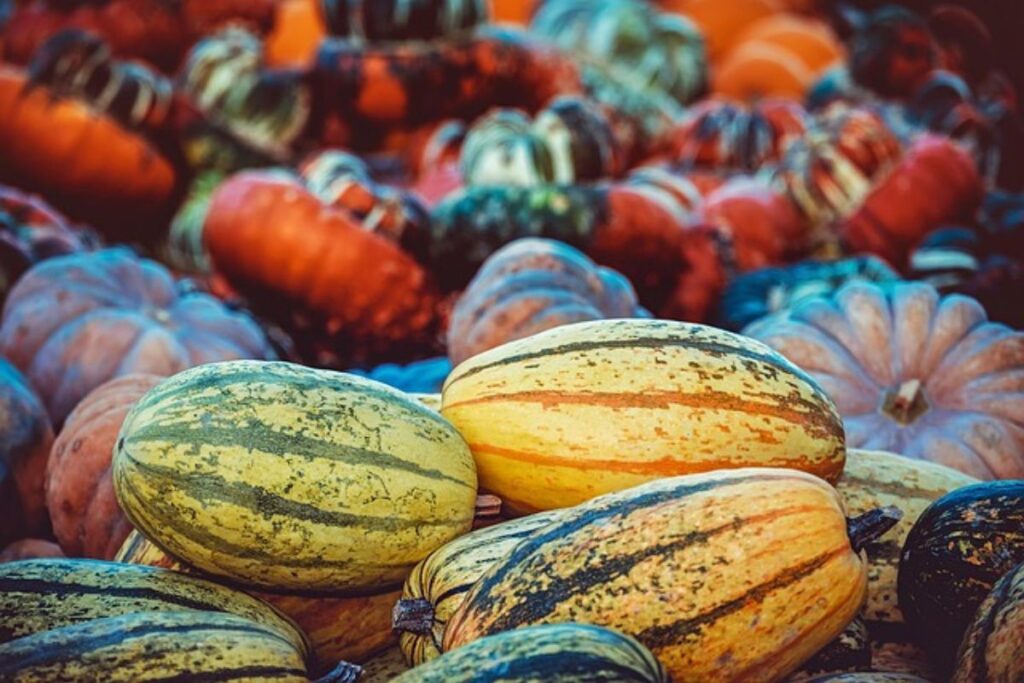 Molango se llenará de calabazas, tradición, leyendas y sabores en esta actividad; ¡no te lo pierdas!