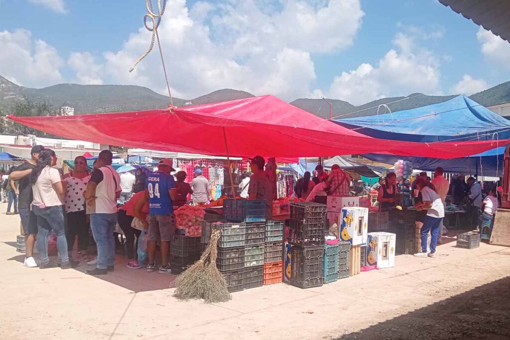Solo 30 por ciento de los vendedores acudió al mercado de Metztitlán