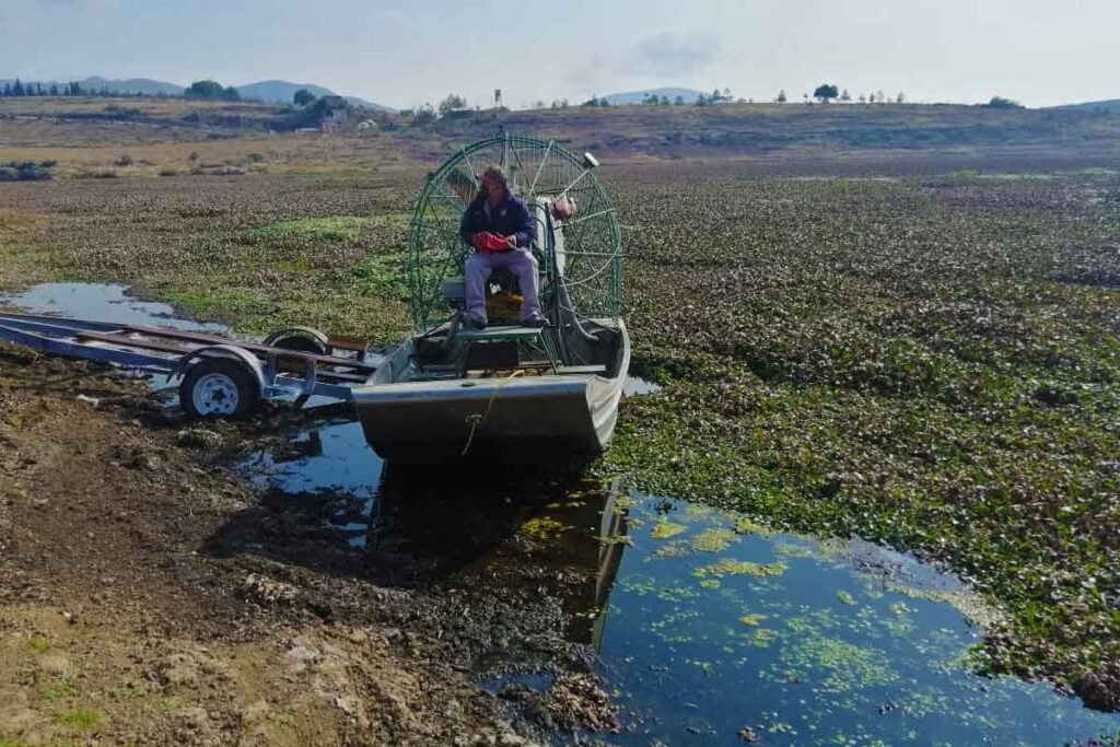 Hace cuatro años la extracción de lirio acuático en la presa La Esperanza abarcaron 42 hectáreas