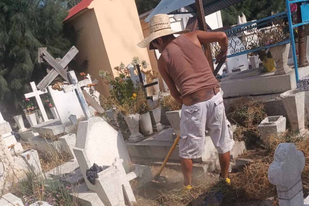 Tras la celebración de Todos Santos, se implementará un programa de poda de árboles en el cementerio urbano