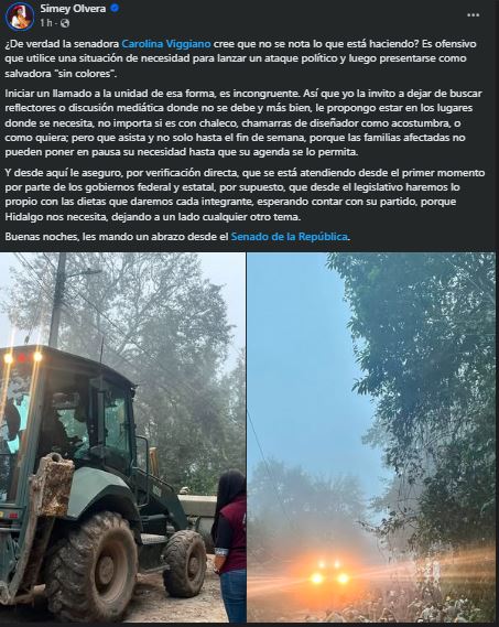 La morenista tachó la convocatoria de unidad de Viggiano como