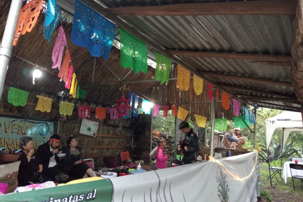 Celebran al maguey en Singuilucan con La Pulquísima Trinidad; ¿qué actividades hubo?