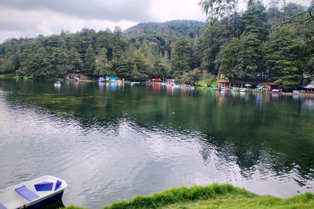 ¿Ya conoces El Cedral? Aventura, naturaleza y confort a solo 30 minutos de Pachuca