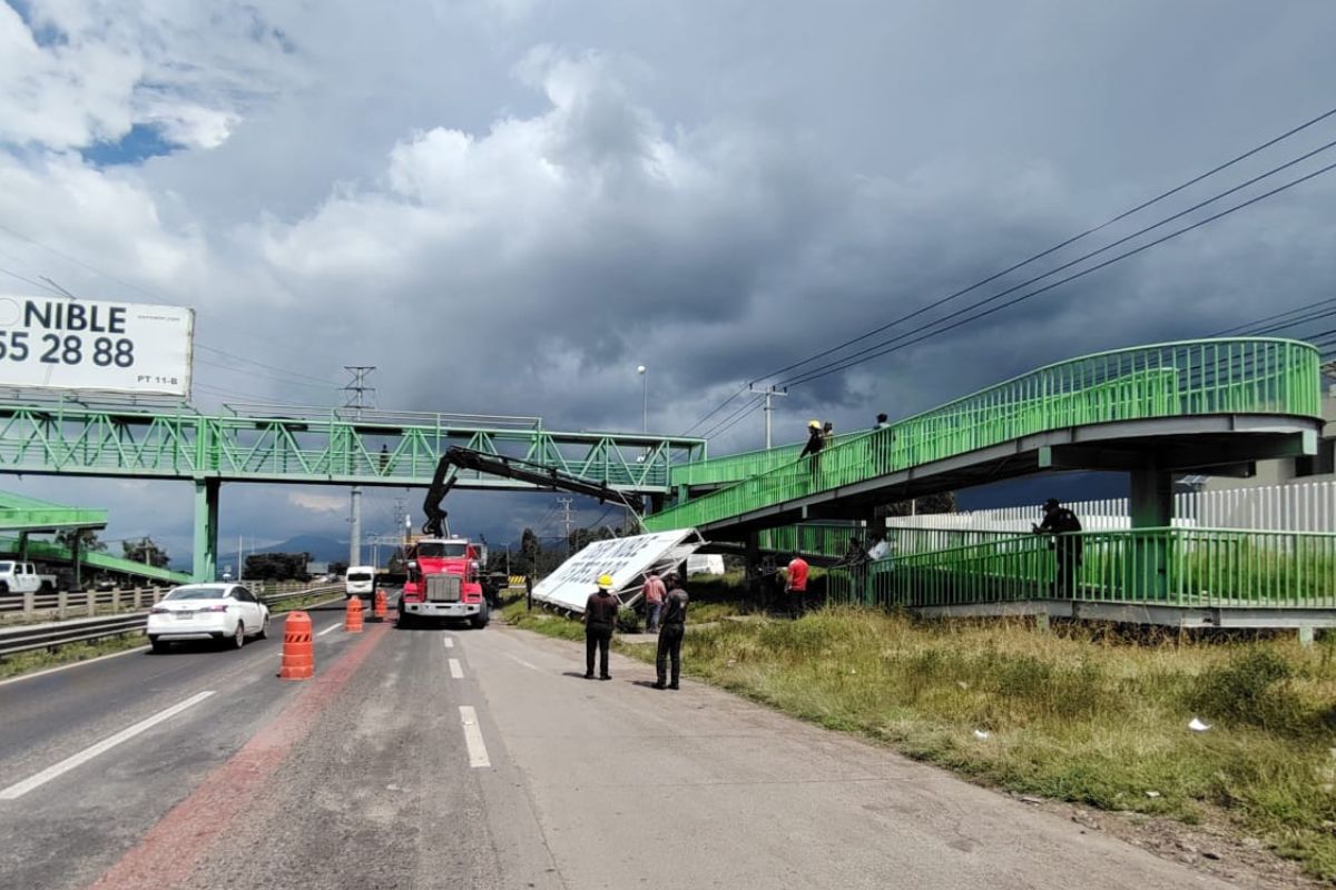 Los puentes peatonales se ubican en la zona urbana de la carretera federal México-Tuxpan | Foto: Especial