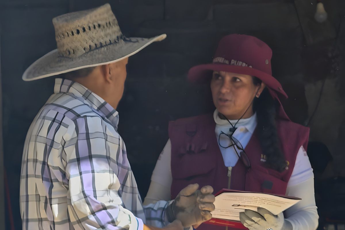 Los censos se concentran en la región Otomí-Tepehua | Foto: Especial