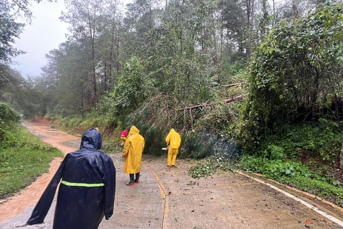 Elementos de PC se encargaron de abrir la circulación en algunas carreteras de la zona | Foto: Especial