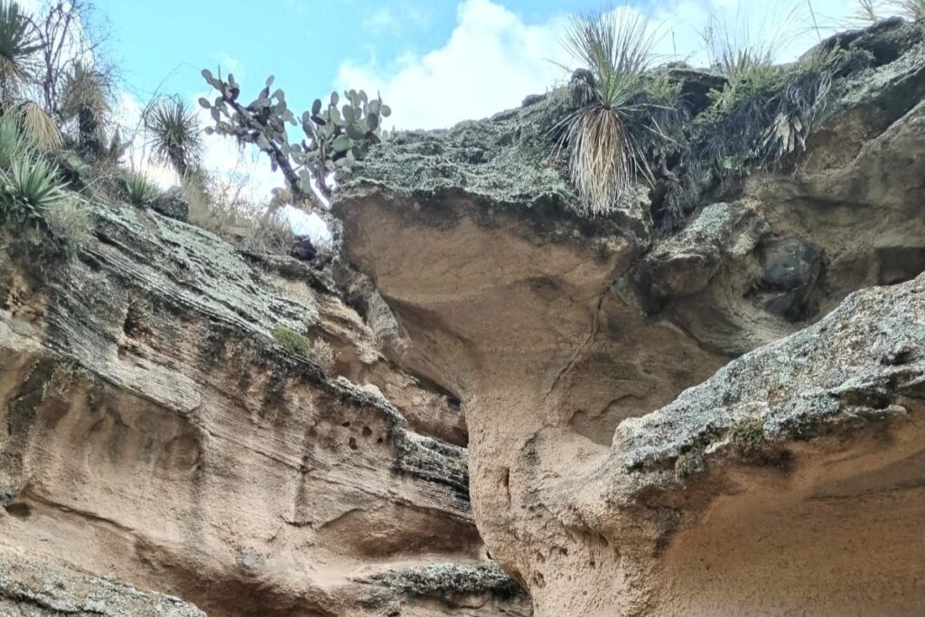 Visita en Zapotlán esta maravilla de la naturaleza y conoce todas sus leyendas 