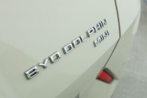 El modelo destaca por su autonomía urbana y su precio competitivo.