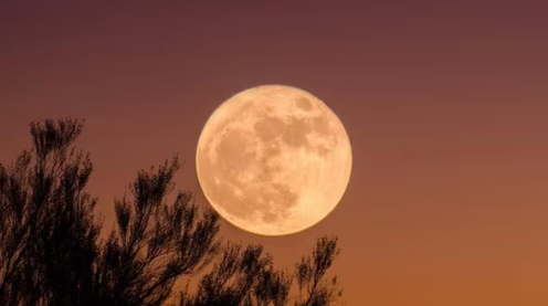 En México, la Luna del Castor alcanzará su punto máximo de brillo a las 19:19 horas
