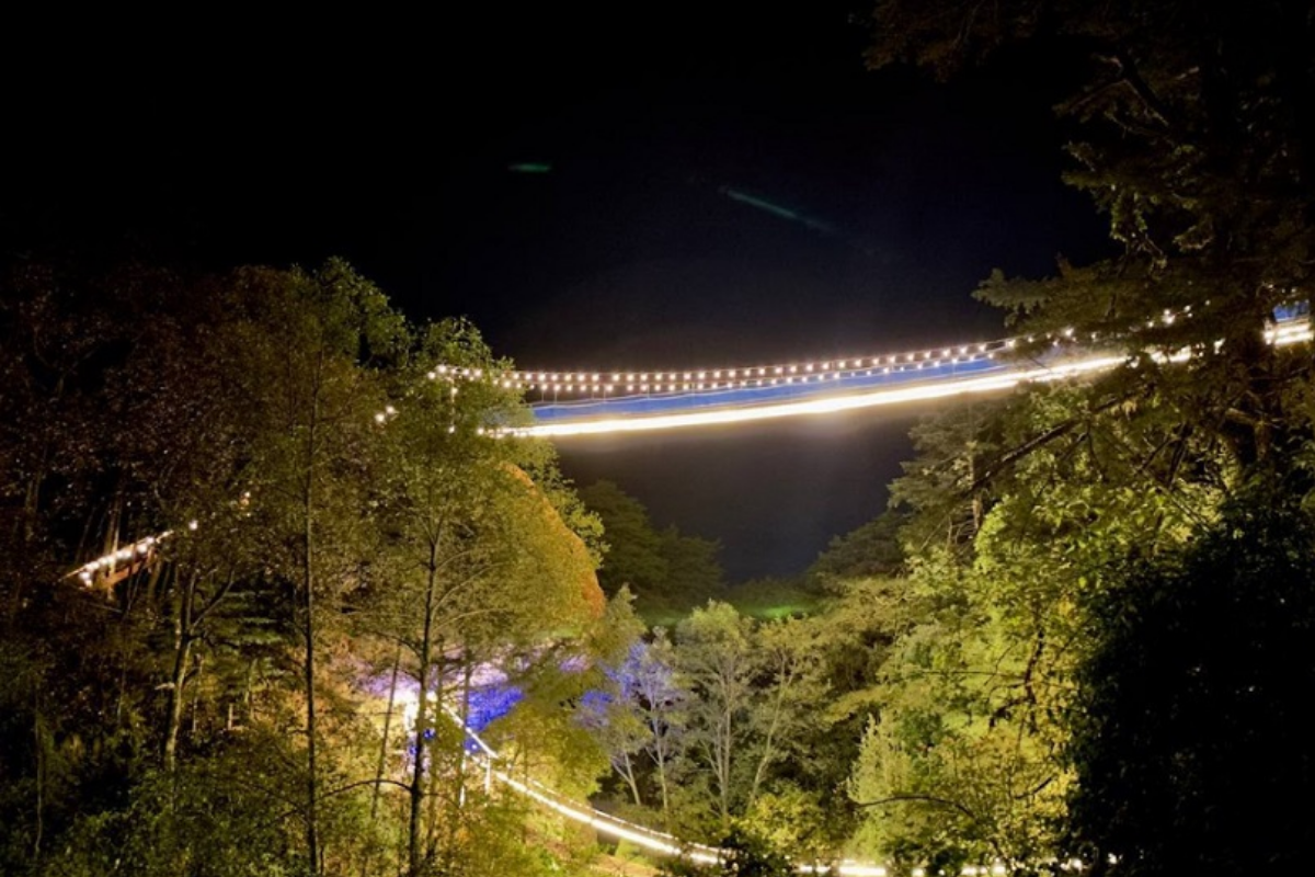 La experiencia nocturna permite observar las luces y sonidos naturales de Hidalgo.