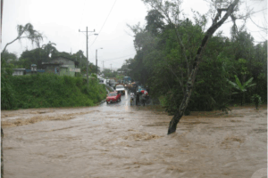 Bienestar anunció que los pagos iniciarán el 10 de noviembre para los estados más afectados por las tormentas.