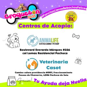 Los perros del refugio consumen alimento dos veces al día; algunos han esperado por años un hogar definitivo y dependen de colectas como el Croquetón para sobrevivir.