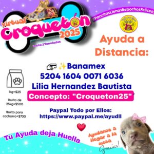 Por cada donación equivalente a un bulto de 25 kg, los participantes recibirán una estética para mascota en Animalife, beneficio limitado a 300 servicios.