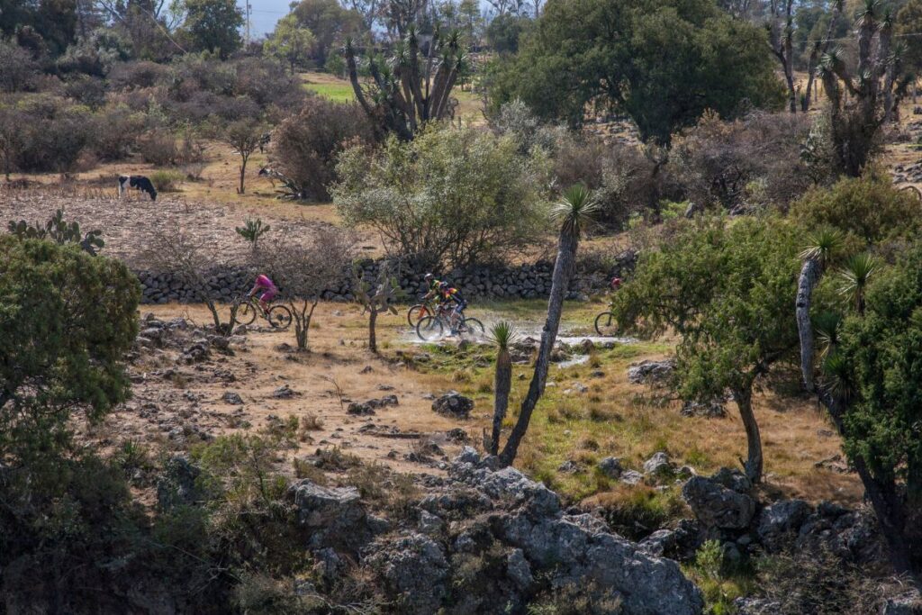 La Barranca de Metztitlán celebra su aniversario de ser una de las áreas naturales protegidas del país