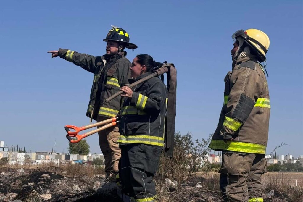 De acuerdo con Protección Civil y Bomberos de Tizayuca, la principal causa de los incendios fue la quema agrícola no autorizada