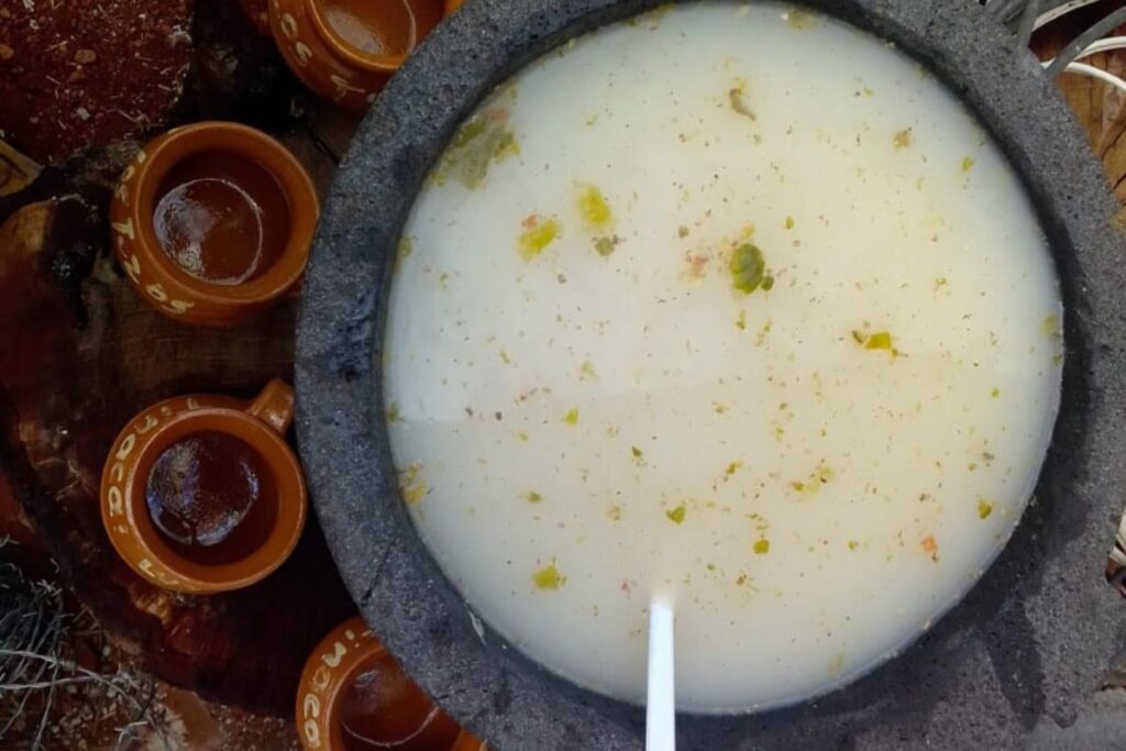 La Expo Maguey 2025 realzará la cultura milenaria de esta planta; checa las actividades