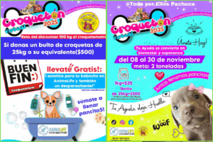 Las donaciones pueden coordinarse vía WhatsApp con la responsable del refugio, además de depositarse en alcancías oficiales colocadas en comercios participantes.