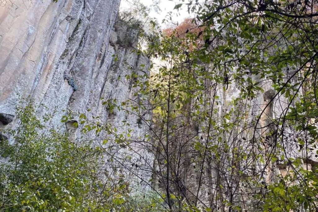 ¿Planeas visitar Omitlán? No te pierdas este recorrido a uno de sus espacios naturales
