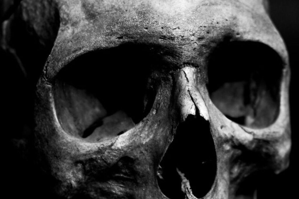 Llega a Tulancingo una obra de teatro sobre el enigma de la muerte y lo que nos mantiene vivos