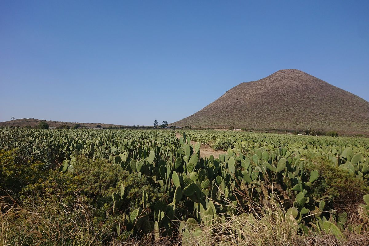 Zempoala, uno de los Pueblos Mágicos de Hidalgo | Foto: Especial