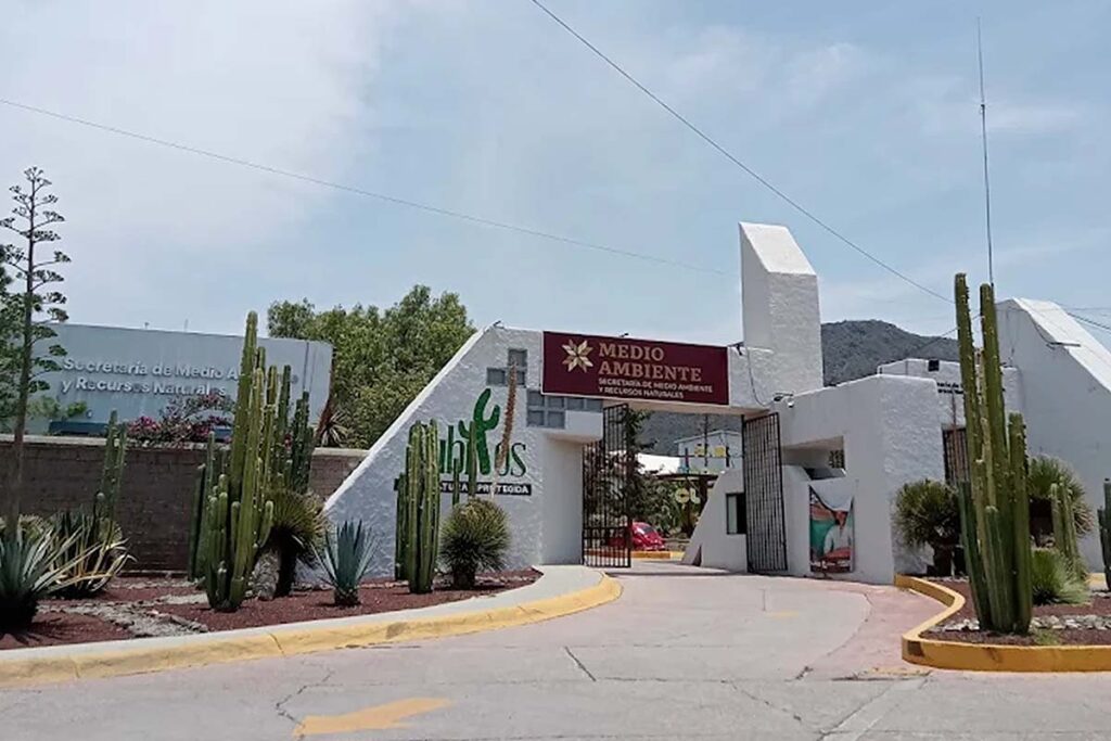 Se detectó que 30 municipios contaban con basureros clandestinos y de ese total, únicamente se han aplicado cuatro multas.