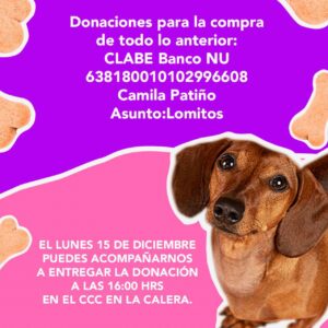 La comunidad se unió para apoyar a los lomitos de Paseo de los Tulipanes mediante una campaña que busca reunir cobijas, suéteres y pelotas para mejorar su bienestar mientras esperan un hogar.