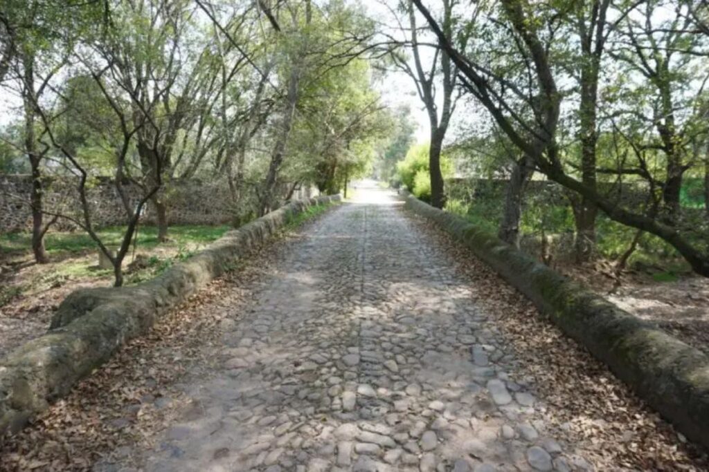Hidalgo ofrece varias opciones para visitar y disfrutar durante esta temporada